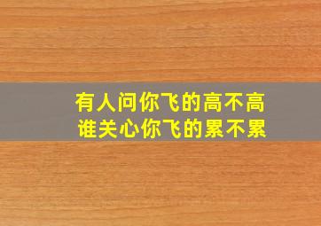 有人问你飞的高不高 谁关心你飞的累不累